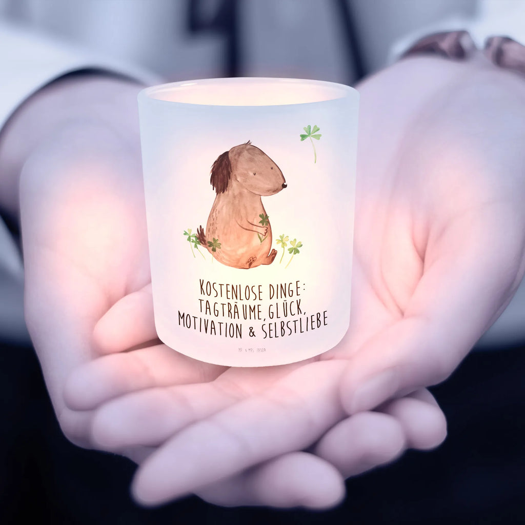 Latarenka pies koniczyna Pies, motyw psa, zwierzę domowe, rasa psa, miłośnik zwierząt, właściciel psa, powiedzenia