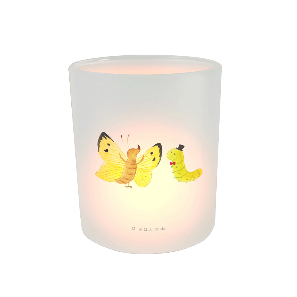 Latarenka gąsienica motyl Motywy zwierzęce, dobra energia, zabawne powiedzonka, zwierzęta