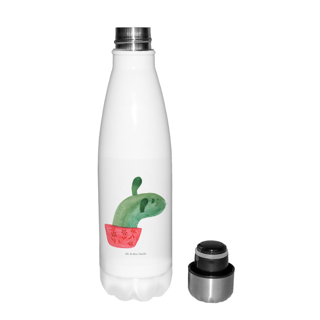 Insulated bottle cactus mummy stainless steel, Thermos bottle 500ml, Thermos bottle, Thermos bottles, Thermos, cactus, cactuses, plants, cactus plant, small green cactus, annoyance, motivation, office life, office, quota, cacti, cactus love, school
