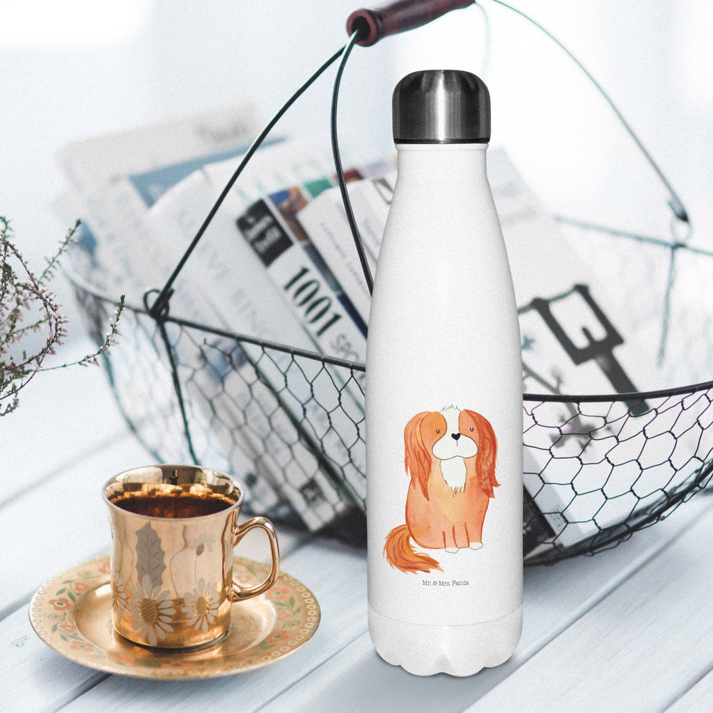 Insulated bottle Dog Cavalier King Charles Spaniel Thermosflasche 500ml, Flasche, Thermos, Thermosflasche 1 Liter, Thermosflasche BPA-Frei, Thermosflasche Für Schule, Isolierflasche Heißgetränke, Isolierflasche Kaltgetränke, Isolierkanne, Thermoflasche, Isolierflasche, Thermosflasche 750ml, Umweltfreundliche Thermosflasche, Thermosflasche Für Kaffee, Flasche für Kohlensäure, Thermosflasche Klassisch, Thermosflasche Wandern, Thermosflasche Outdoor, Thermosflasche Für Sport, Thermosflasche Nachhaltig, Thermosflasche Für Wasser, Thermosflasche Mit Trinkverschluss, Spülmaschinenfeste Thermosflasche, Thermosflasche Damen, Thermosflasche Mit Drehverschluss, Thermosflasche Kinder, Thermosflasche Modern, Sommergetränk, Vakuumflasche, Thermosflasche Für Büro, Thermosflasche Für Outdoor, Leichte Thermosflasche, Thermosflasche, Thermoflasche Edelstahl, Sommerflasche, Thermosflasche Für Tee, Thermosflasche Reisen, Thermosflasche Für Unterwegs, Auslaufsichere Thermosflasche, Thermoskanne Unterwegs, Robuste Thermosflasche, Warmhalteflasche, Edelstahlflasche, Kalthalteflasche, Trinkflasche Isoliert, Thermosflasche Herren, Doppelwandige Trinkflasche, Hund, Hundemotiv, Haustier, Hunderasse, Tierliebhaber, Hundebesitzer, Sprüche, schönster Hund, Spaniel, Spruch, Cavalier King Charles Spaniel, Cockerspaniel