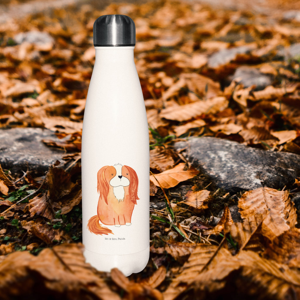 Insulated bottle Dog Cavalier King Charles Spaniel Thermosflasche 500ml, Flasche, Thermos, Thermosflasche 1 Liter, Thermosflasche BPA-Frei, Thermosflasche Für Schule, Isolierflasche Heißgetränke, Isolierflasche Kaltgetränke, Isolierkanne, Thermoflasche, Isolierflasche, Thermosflasche 750ml, Umweltfreundliche Thermosflasche, Thermosflasche Für Kaffee, Flasche für Kohlensäure, Thermosflasche Klassisch, Thermosflasche Wandern, Thermosflasche Outdoor, Thermosflasche Für Sport, Thermosflasche Nachhaltig, Thermosflasche Für Wasser, Thermosflasche Mit Trinkverschluss, Spülmaschinenfeste Thermosflasche, Thermosflasche Damen, Thermosflasche Mit Drehverschluss, Thermosflasche Kinder, Thermosflasche Modern, Sommergetränk, Vakuumflasche, Thermosflasche Für Büro, Thermosflasche Für Outdoor, Leichte Thermosflasche, Thermosflasche, Thermoflasche Edelstahl, Sommerflasche, Thermosflasche Für Tee, Thermosflasche Reisen, Thermosflasche Für Unterwegs, Auslaufsichere Thermosflasche, Thermoskanne Unterwegs, Robuste Thermosflasche, Warmhalteflasche, Edelstahlflasche, Kalthalteflasche, Trinkflasche Isoliert, Thermosflasche Herren, Doppelwandige Trinkflasche, Hund, Hundemotiv, Haustier, Hunderasse, Tierliebhaber, Hundebesitzer, Sprüche, schönster Hund, Spaniel, Spruch, Cavalier King Charles Spaniel, Cockerspaniel