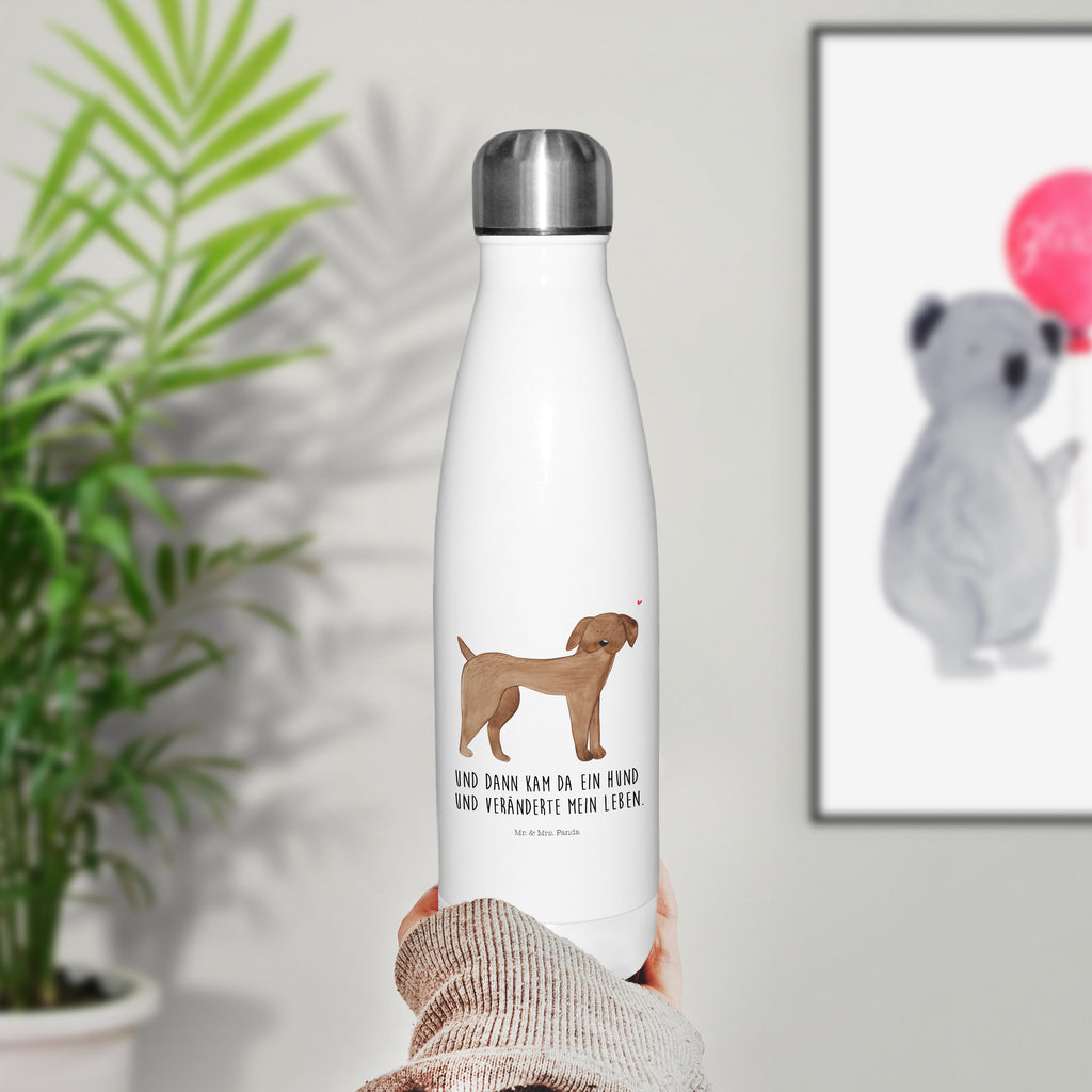 Insulated bottle Dog mastiff Thermosflasche, Wasserflasche, isolierflaschen, Trinkflasche, Edelstahlflasche, reiseflasche, thermobottle, isolierbehälter, Trinkbehälter, metallflasche, Edelstahl Trinkflasche, Thermos, edelstahl wasserflasche, Thermoflasche Edelstahl, Trinkgefäß, Outdoorflasche, edelstahl isolierflasche, Isolierflasche, thermosflaschen, thermobehälter, wanderflasche, Getränkeflasche, flasche aus edelstahl, trinkflaschen, Vakuumflasche, Trinkflasche Isoliert, isolier trinkflasche, Thermoflasche, thermo trinkflasche, Sprüche, Hund, Hunderasse, Hundebesitzer, Hundemotiv, Haustier, Tierliebhaber, Hunde, Deutsche Dogge, Great Dane, Dogge