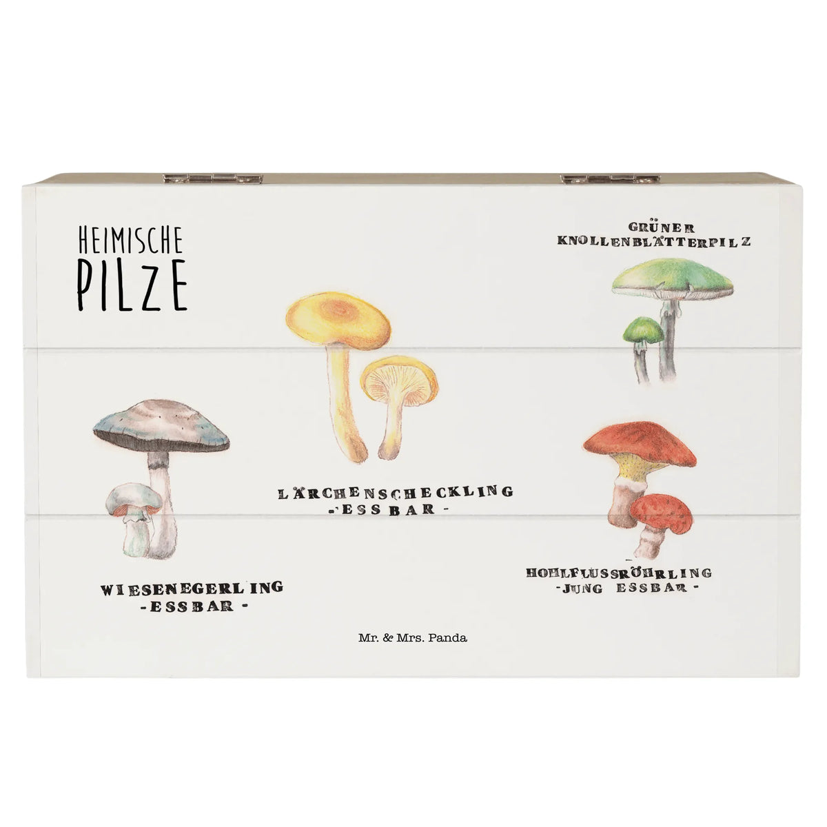 Wooden chest Native mushrooms Nature, joy of life, Mushroom, lucky mushroom