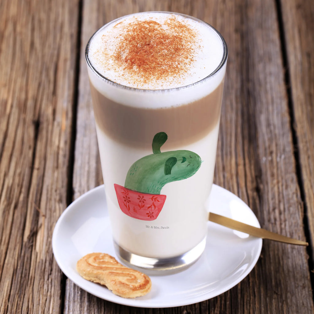 Glass cactus mummy cactus, cactuses, plants, cactus plant, small green cactus, motivation, annoyance, school, cactus love, office life, quota, cacti, office