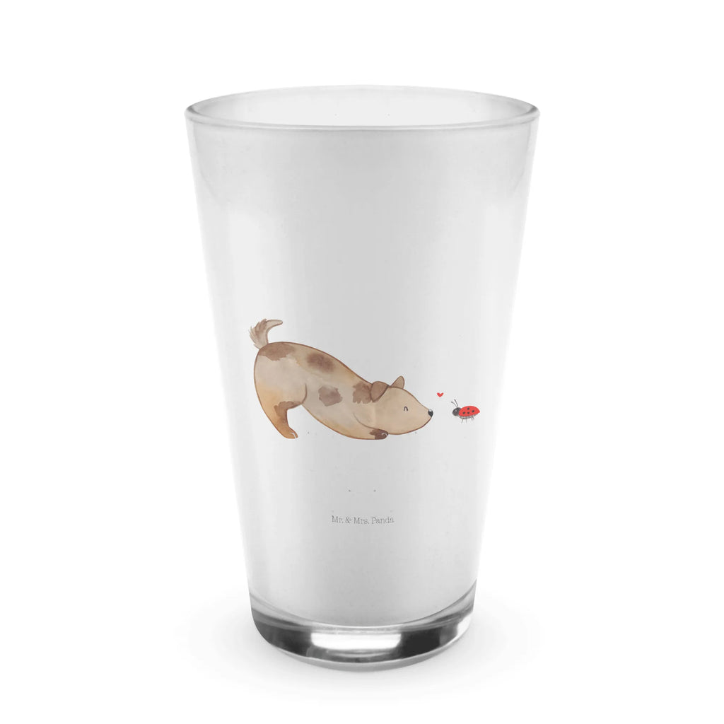 Glass Dog ladybug Glas, Trinkbecher Glas, Trinkglas, Limonadenglas, Longdrinkglas, Saftglas, kaffeeglas, eistee glas, Glasbecher, cappuccinoglas, eiskaffeeglas, Cocktailglas, becher glas, milchkaffee glas, smoothie glas, Latte Macchiato Glas, Teeglas, Wasserglas, Sprüche, Hund, Hunderasse, Hundebesitzer, Hundemotiv, Haustier, Tierliebhaber, Hunde, Mischlinghund, Hundespruch, Mischling, Marienkäfer