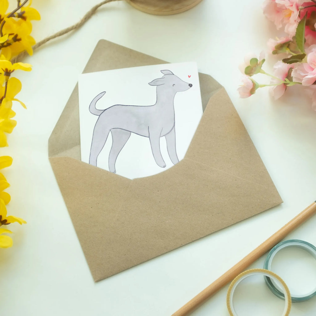 Greetings card Italian Greyhound Lifesaver invitation card, birthday card, greeting card, wedding card, folding card, Dog, dog breed, purebred dog, dog owner, gift, animal lover, giving, puppy
