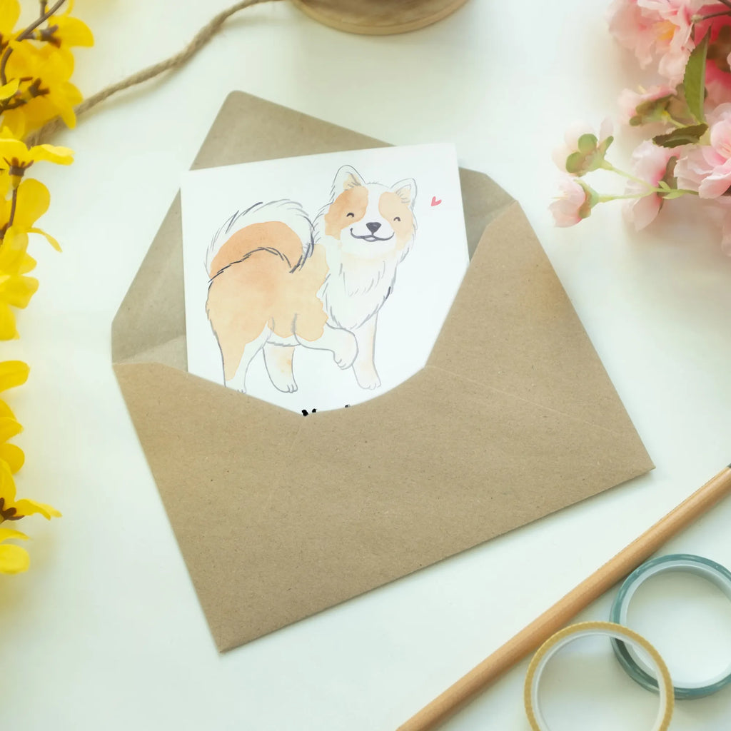 Greetings card Icelandic Sheepdog Lifesaver greeting card, wedding card, birthday card, invitation card, folding card, Dog, dog breed, purebred dog, dog owner, gift, animal lover, giving, puppy