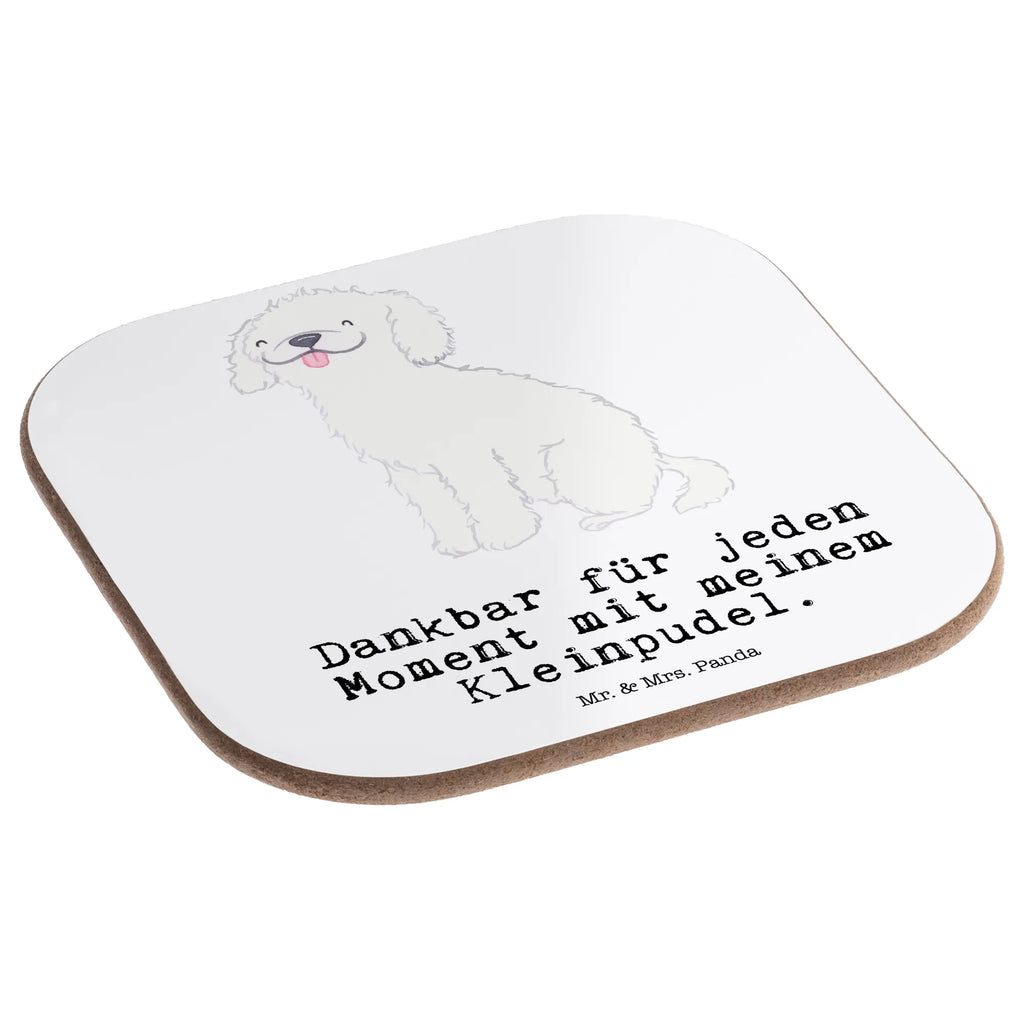 Podkładka mały pudel chwila Pies, rasa psa, pies rasowy, właściciel psa, prezent, miłośnik zwierząt, dawanie, szczeniak