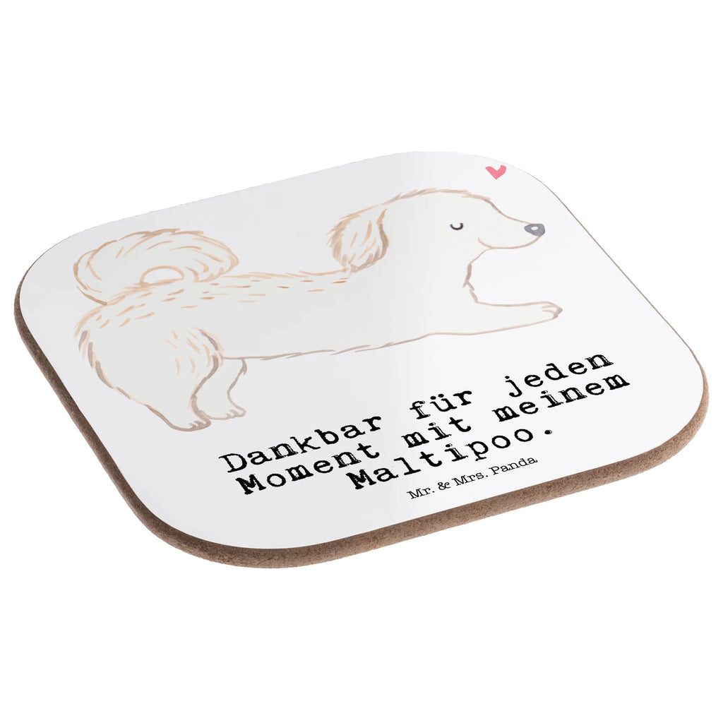 Square coaster Maltipoo Moment party, gifts, Coasters, gift, glass coasters, presents, breakfast, Dog, dog breed, purebred dog, dog owner, animal lover, giving, puppy