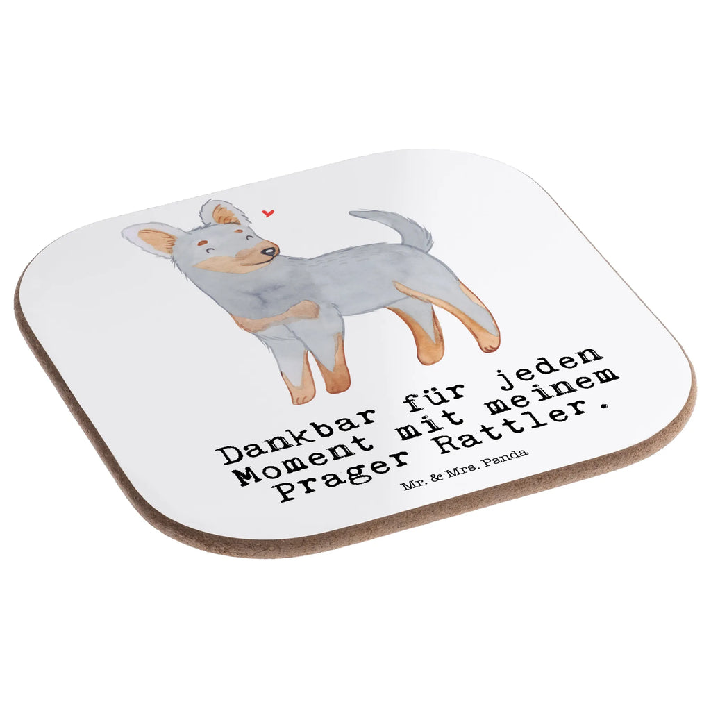 Square coaster Prague Rattler moment gift, glass coasters, breakfast, party, presents, Coasters, gifts, Dog, dog breed, purebred dog, dog owner, animal lover, giving, puppy