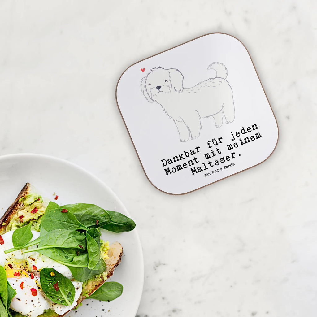 Quadratische Untersetzer Malteser Moment Untersetzer für Gläser, Bierdeckel, Glasuntersetzer, Untersetzer aus Holz, Untersetzer Holz, Korkuntersetzer, Untersetzer, Holzuntersetzer, Tassen Untersetzer, Untersetzer Design, Untersetzer Gläser, Getränkeuntersetzer, Hund, Hunderasse, Rassehund, Hundebesitzer, Geschenk, Tierfreund, Schenken, Welpe, Malteser