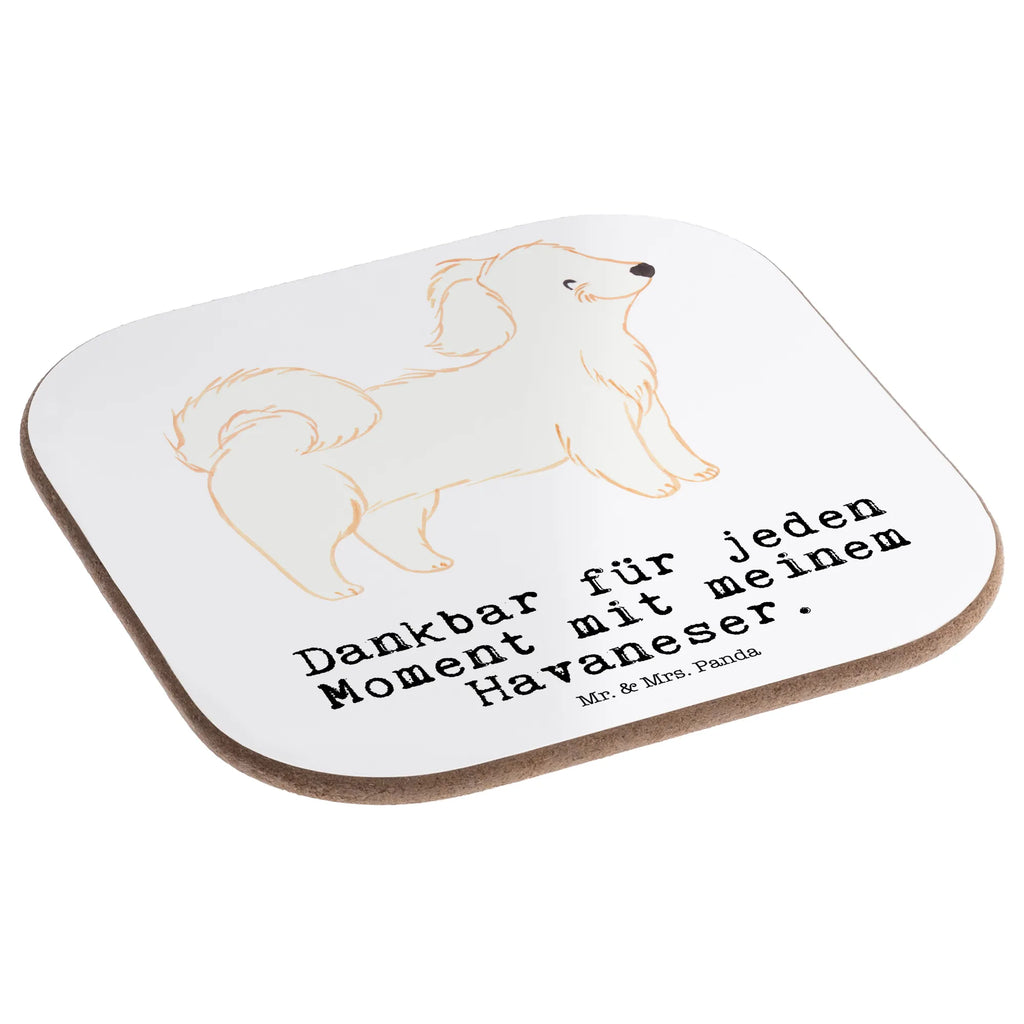 Square coaster Havanese Moment glass coasters, gift, Coasters, breakfast, party, gifts, presents, Dog, dog breed, purebred dog, dog owner, animal lover, giving, puppy
