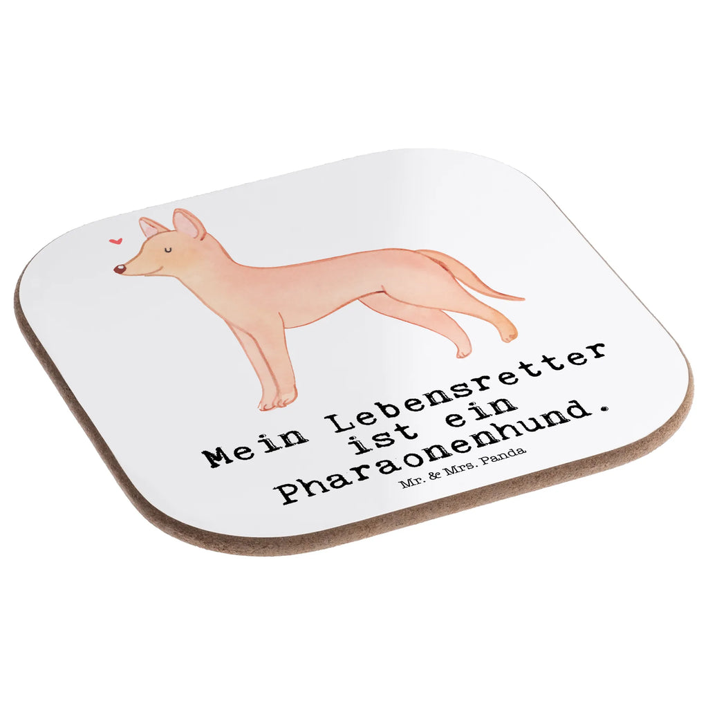 Square coaster Pharaoh Hound Lifesaver breakfast, party, glass coasters, Coasters, gift, presents, gifts, Dog, dog breed, purebred dog, dog owner, animal lover, giving, puppy