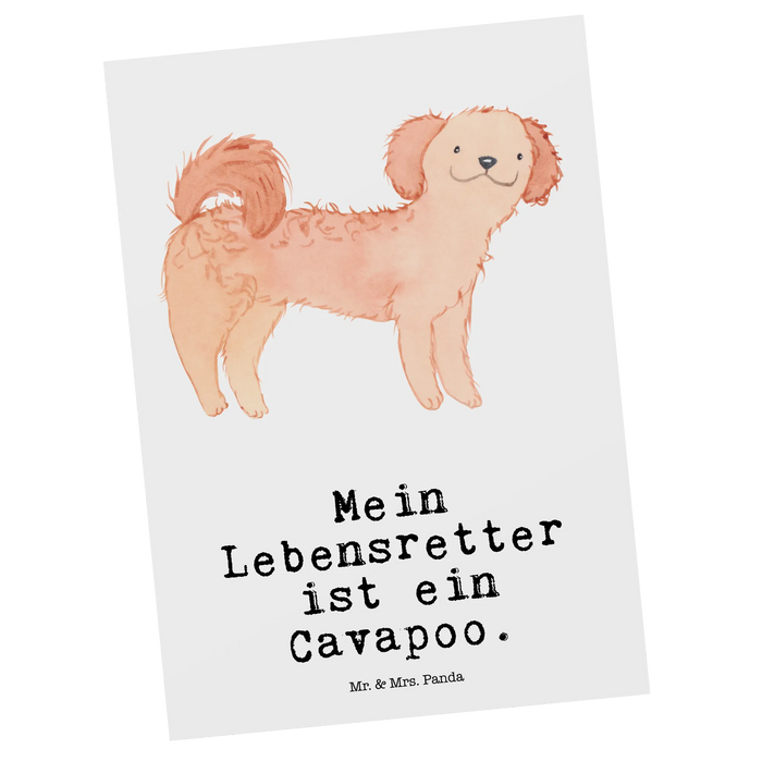 Postkarte Cavapoo Lebensretter