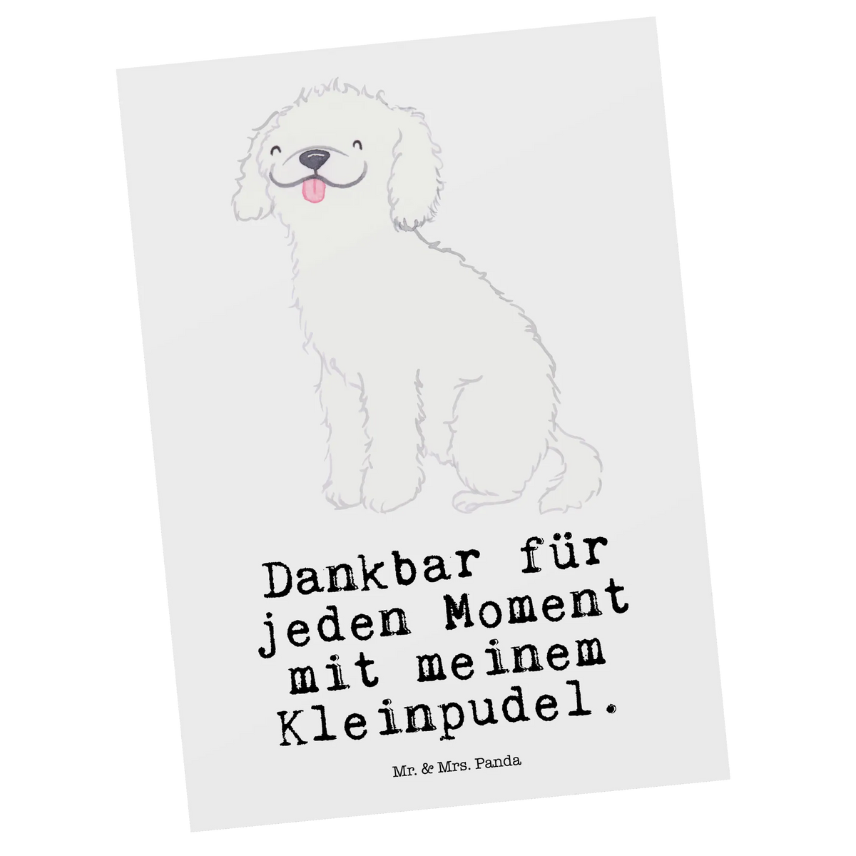 Postkarte Kleinpudel Moment Postkarte, spruchkarte, Fotokarte, kunstkarte, Postkarten, bildkarte, Ansichtskarten, Grußkarte, Kunstkarten, einzelkarte, Motivkarte, Designkarte, Ansichtskarte, Geschenk, Schenken, Hund, Hunderasse, Rassehund, Hundebesitzer, Tierfreund, Welpe, Kleinpudel, Pudel