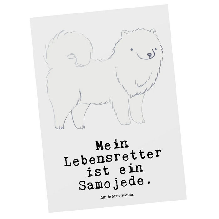 Pocztówka samojed Bohater