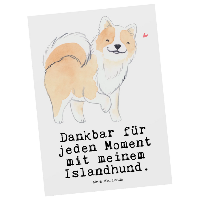 Postcard Island Dog Moment