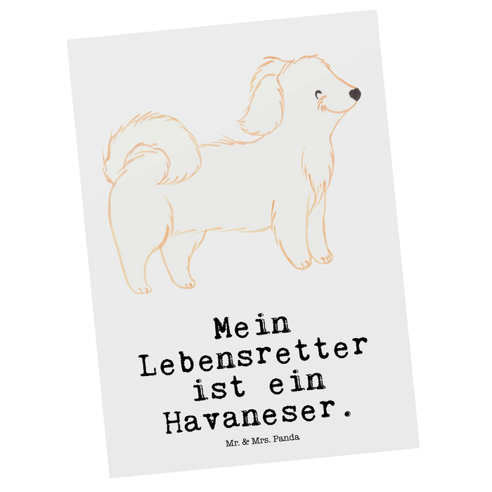 Postcard Havanese Lifesaver