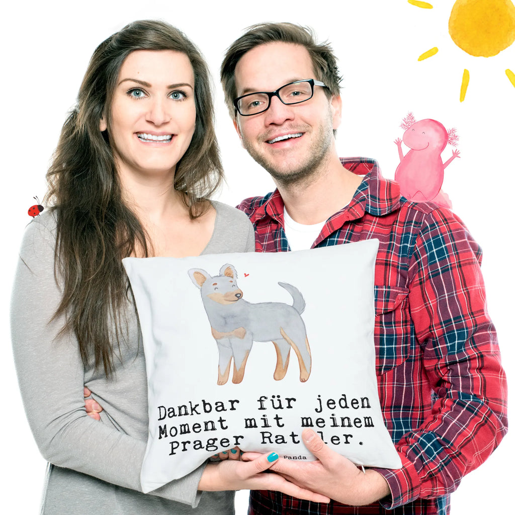 Cushion Prague Rattler moment settee, pad, 40 x 40, sofa, pillow case, bed, couch, Pillow, fluffy, cushion, soft, pillows, 40x40, bedroom, Dog, dog breed, purebred dog, dog owner, gift, animal lover, giving, puppy