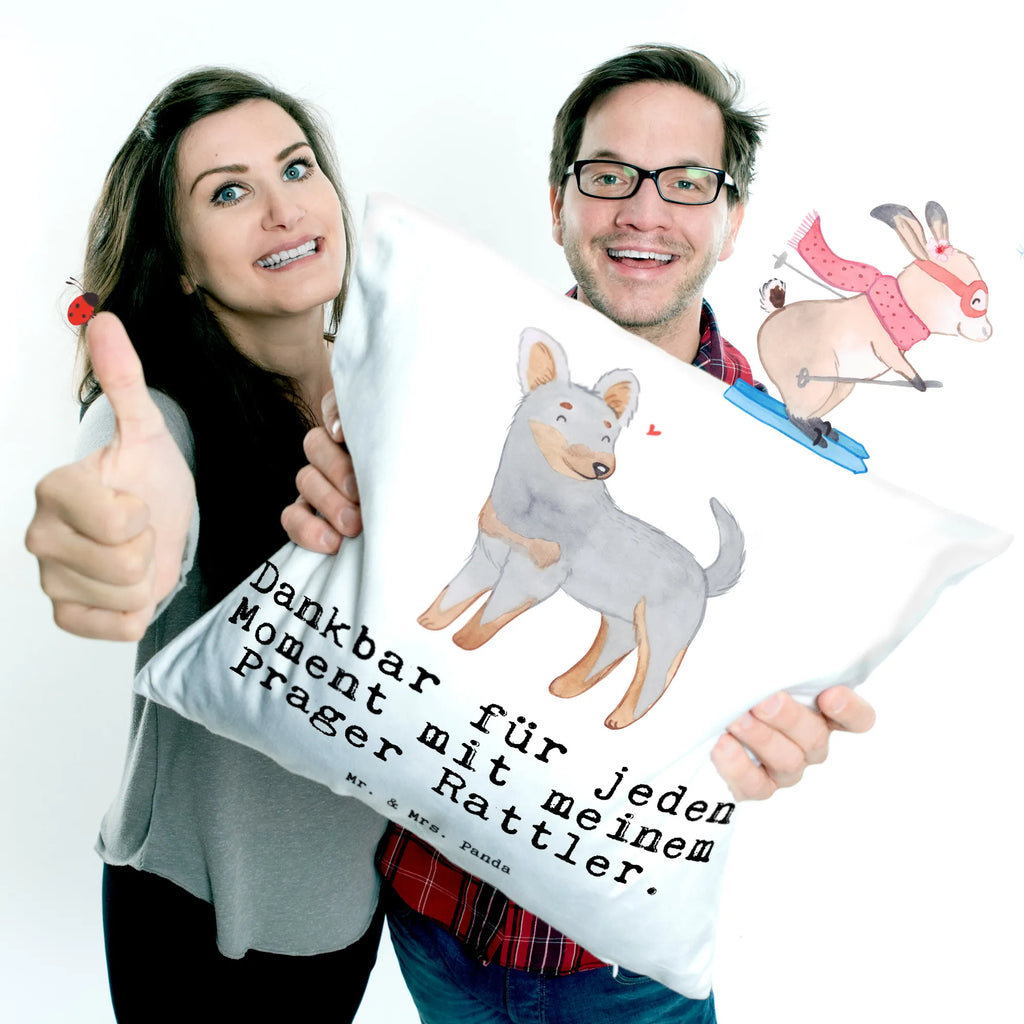 Cushion Prague Rattler moment settee, pad, 40 x 40, sofa, pillow case, bed, couch, Pillow, fluffy, cushion, soft, pillows, 40x40, bedroom, Dog, dog breed, purebred dog, dog owner, gift, animal lover, giving, puppy