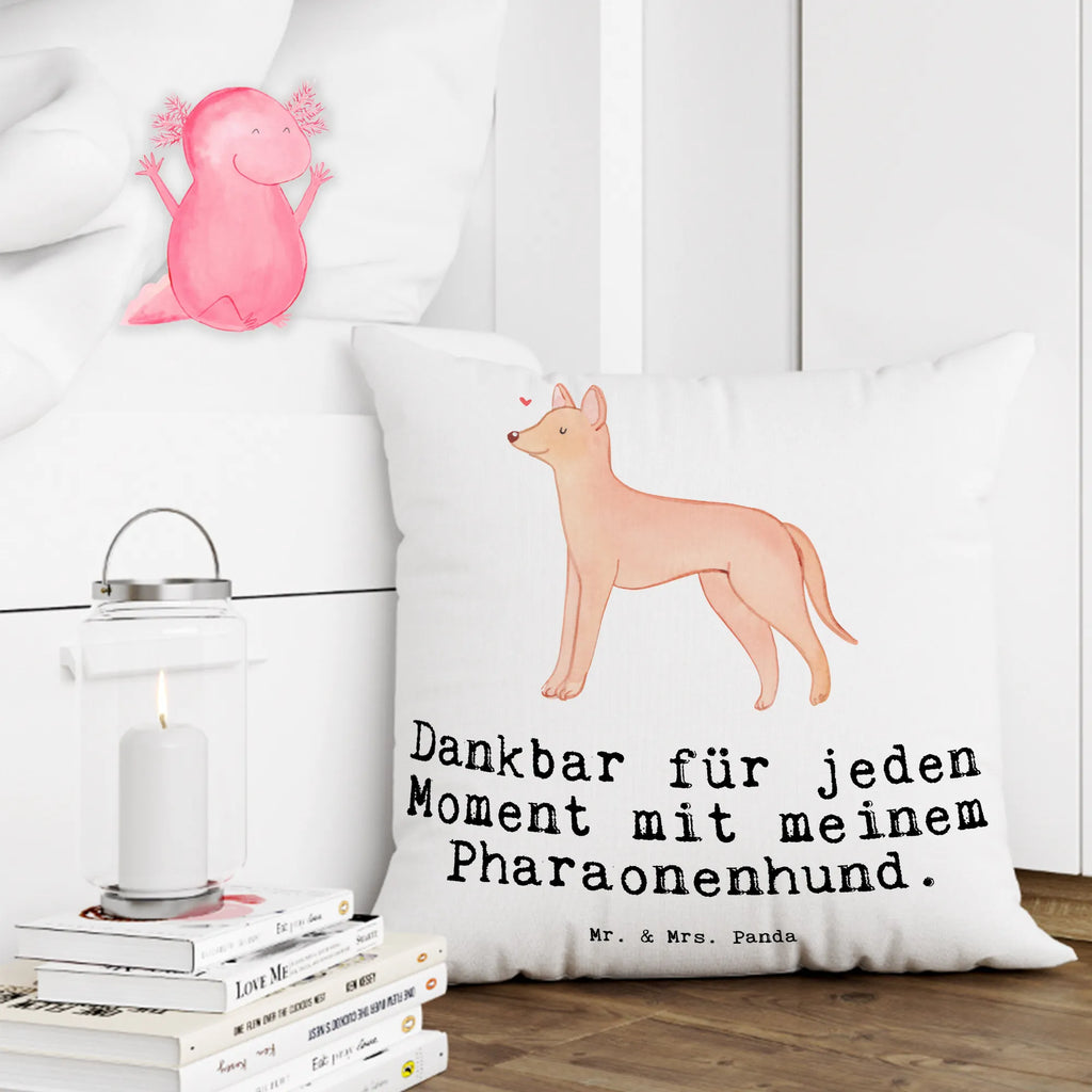 Cushion Pharaoh Hound Moment fluffy, bed, cushion, couch, 40x40, Pillow, pillows, pad, soft, sofa, pillow case, settee, bedroom, 40 x 40, Dog, dog breed, purebred dog, dog owner, gift, animal lover, giving, puppy