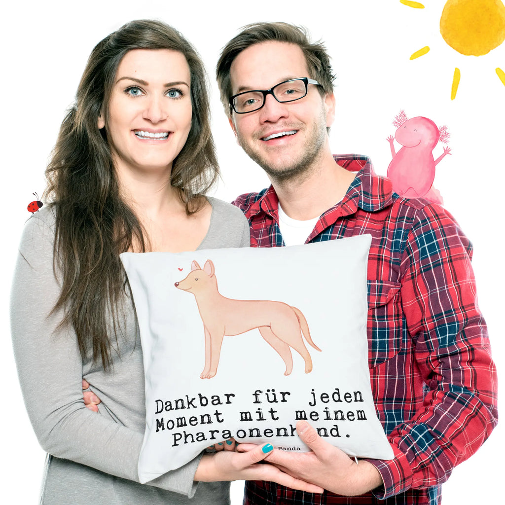 Cushion Pharaoh Hound Moment fluffy, bed, cushion, couch, 40x40, Pillow, pillows, pad, soft, sofa, pillow case, settee, bedroom, 40 x 40, Dog, dog breed, purebred dog, dog owner, gift, animal lover, giving, puppy