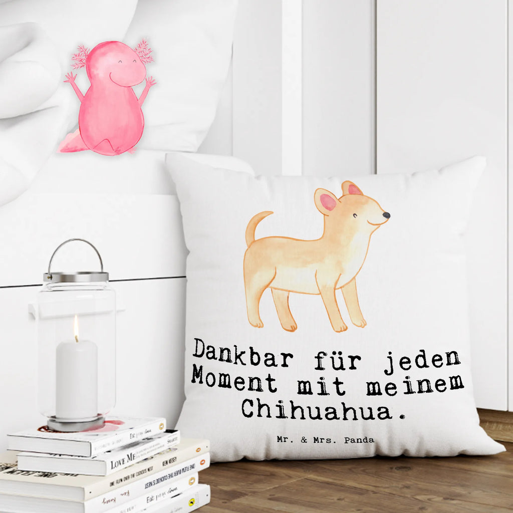 Cushion Chihuahua moment pillow case, bedroom, couch, Pillow, settee, 40x40, pad, bed, soft, pillows, cushion, sofa, 40 x 40, fluffy, Dog, dog breed, purebred dog, dog owner, gift, animal lover, giving, puppy