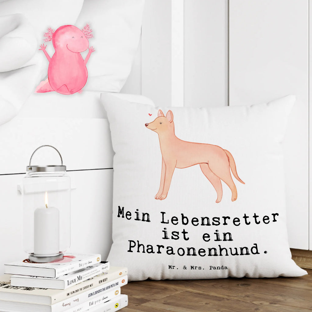 Cushion Pharaoh Hound Lifesaver pad, settee, bedroom, couch, sofa, soft, Pillow, 40x40, 40 x 40, cushion, pillow case, pillows, bed, fluffy, Dog, dog breed, purebred dog, dog owner, gift, animal lover, giving, puppy