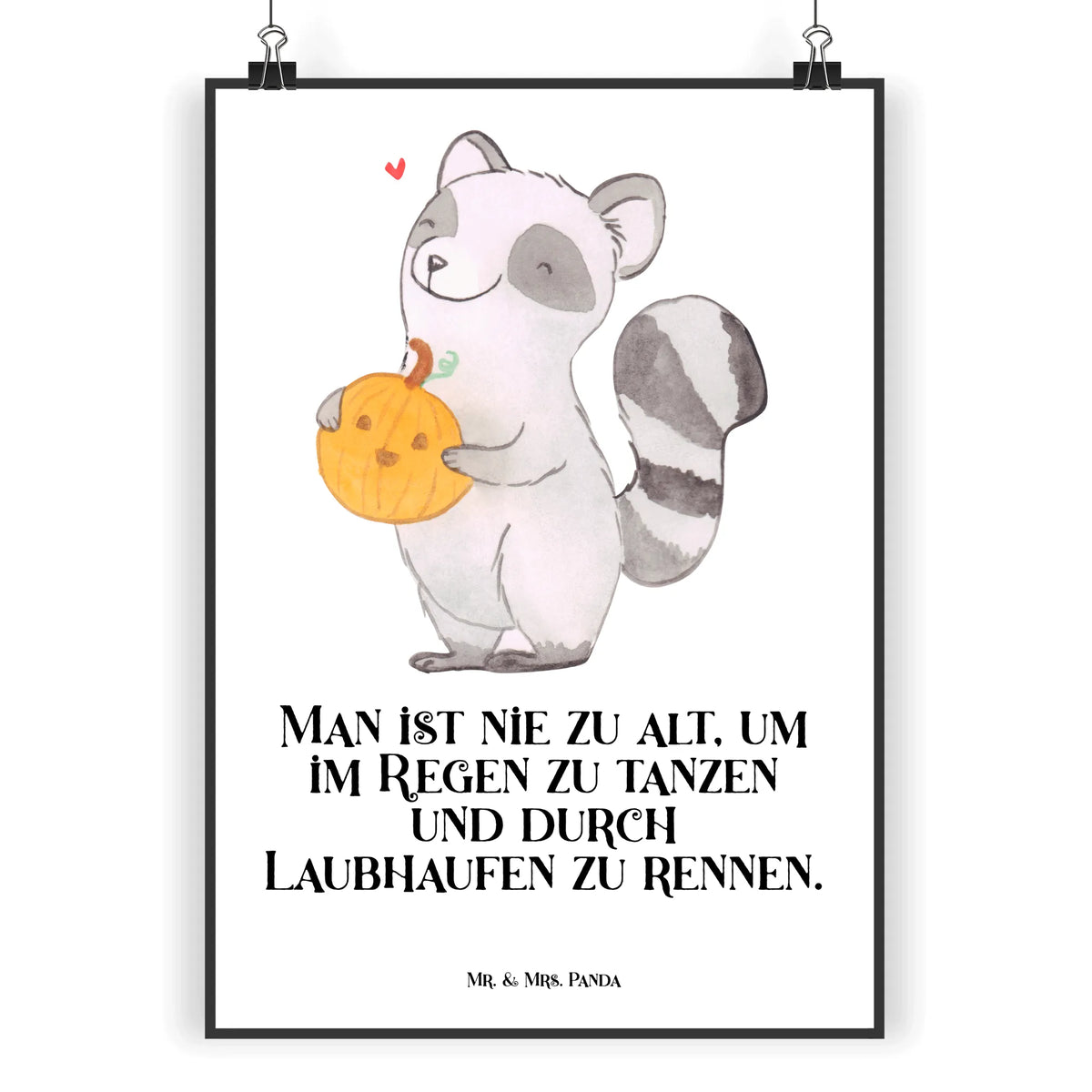 Poster Raccoon Pumpkin decoration, gifts, Martin singing, decor, giving