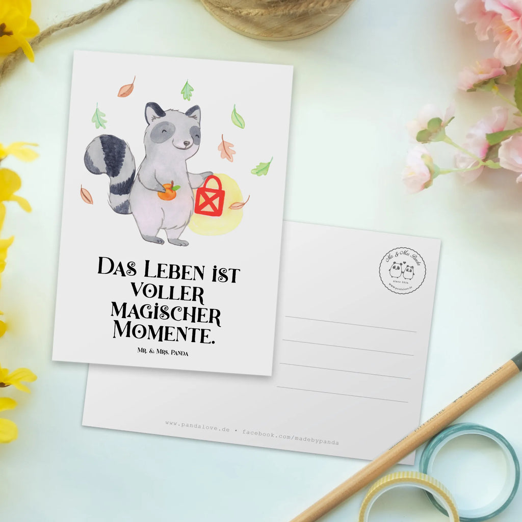 Postkarte Waschbär Laterne Ansichtskarte, Ansichtskarten, Designkarte, Fotokarte, Postkarte, bildkarte, Motivkarte, einzelkarte, Kunstkarten, Grußkarte, kunstkarte, spruchkarte, Postkarten, Dekoration, Geschenke, Schenken, Deko, Halloween, Martinssingen, Süßes Sonst Gibt's Saures, Laterne, Herbst, Halloween Deko, Trick Or Treat, Waschbär