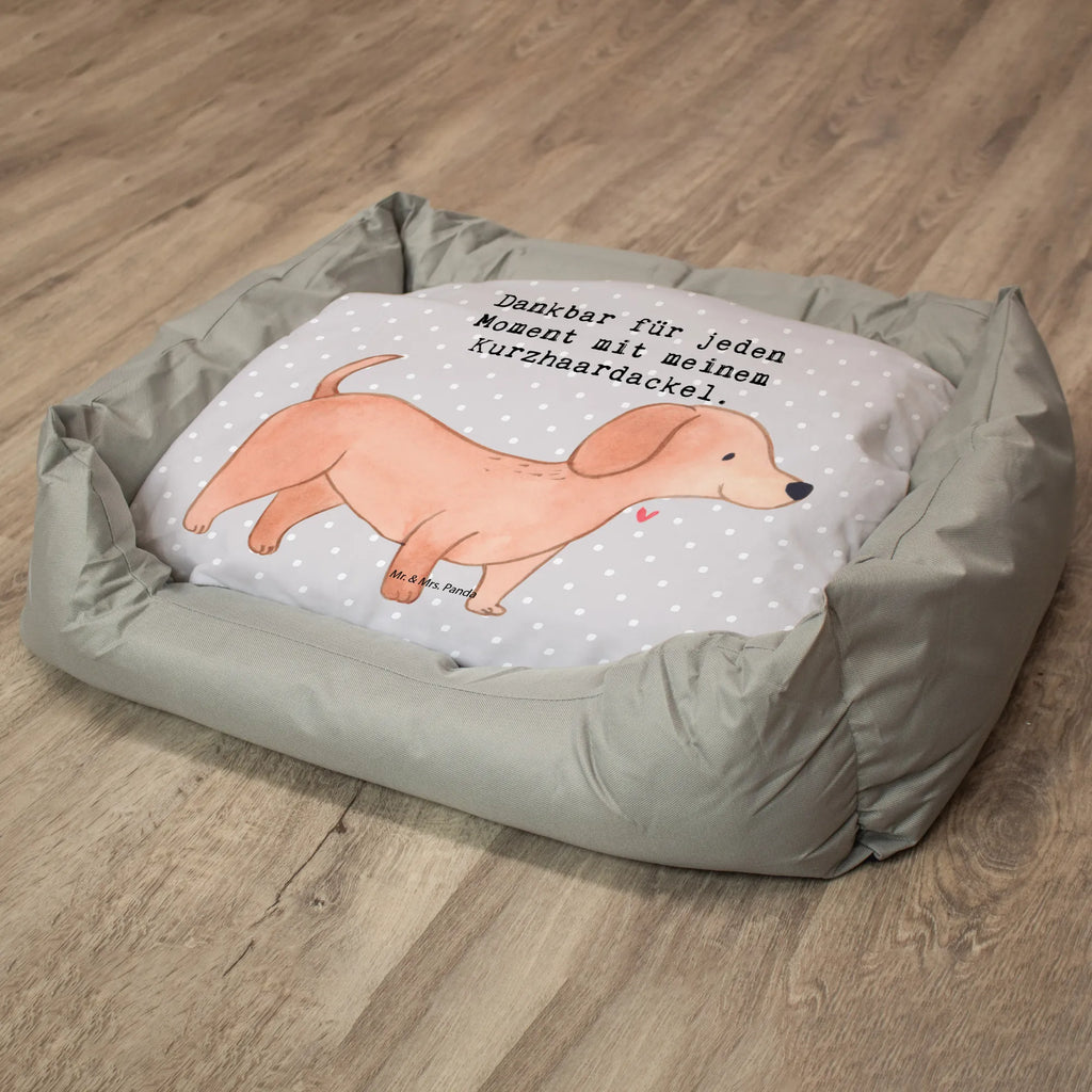 Dog bed Dachshund Smooth-haired Dachshund moment Dog, dog breed, purebred dog, dog owner, gift, animal lover, giving, puppy