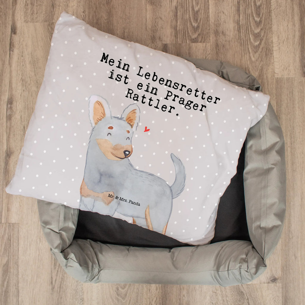 Legowisko dla psa Praski Rattler Ratujący życie Hundebettchen, Hundemöbel, Hundebett, Hund, Körbchen, Hundekörbchen, Tierbett, Hundeschlafplatz, Hundekissen, Hundeliege, Hundedecke, Liegeplatz, Hundebett Luxus, Hundesofa, Hunderasse, Rassehund, Hundebesitzer, Geschenk, Tierfreund, Schenken, Welpe, Pincher, Prager Rattler