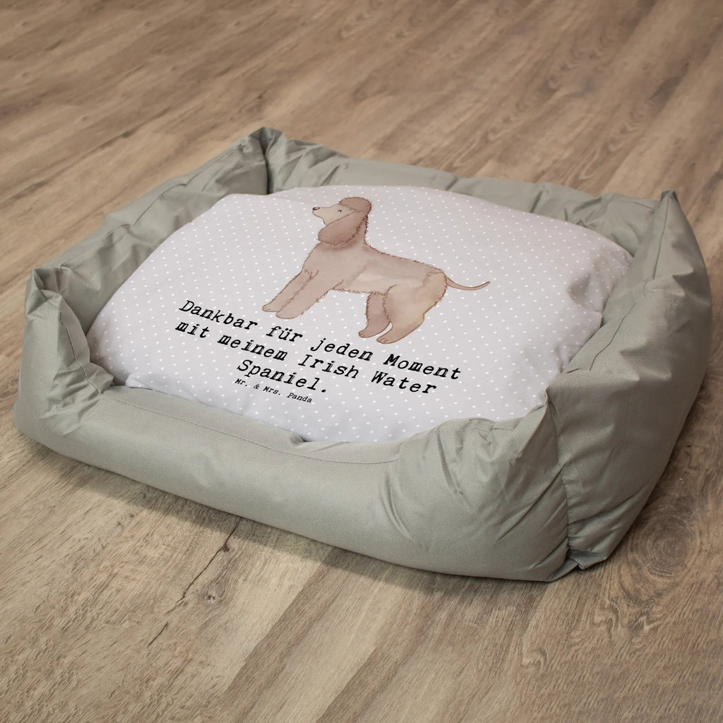 Legowisko dla psa Irlandzki spaniel wodny Chwila Pies, rasa psa, pies rasowy, właściciel psa, prezent, miłośnik zwierząt, dawanie, szczeniak