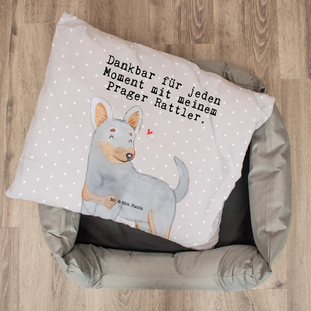 Dog bed Prague Rattler moment Dog, dog breed, purebred dog, dog owner, gift, animal lover, giving, puppy