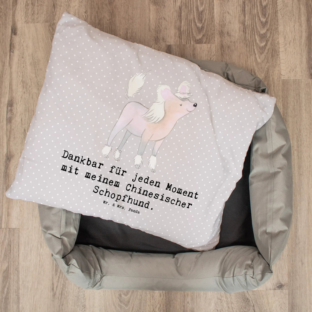 Dog bed Chinese Crested Dog Moment Dog, dog breed, purebred dog, dog owner, gift, animal lover, giving, puppy