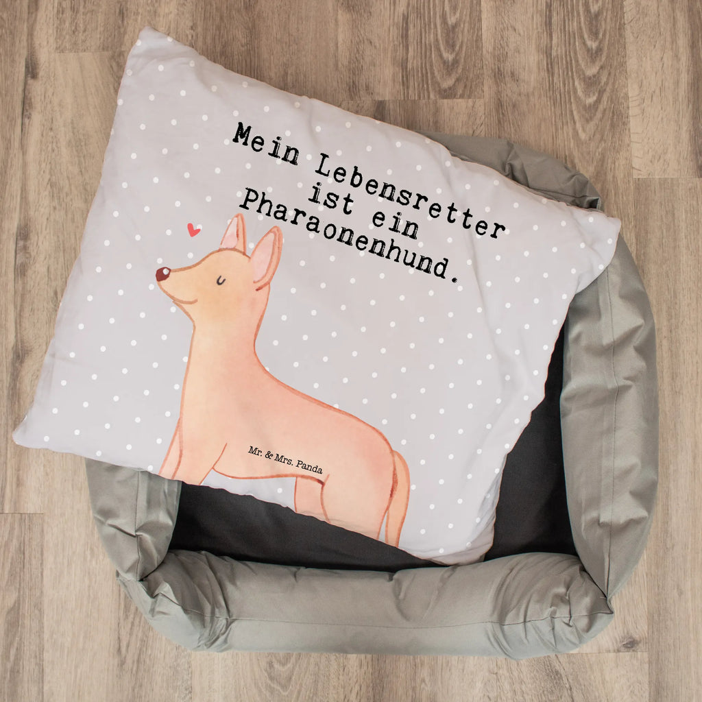 Hundebett Pharaonenhund Lebensretter Körbchen, Hundeliege, Hundeschlafplatz, Liegeplatz, Hundebett, Hundebett Luxus, Hund, Hundemöbel, Hundedecke, Hundebettchen, Tierbett, Hundekissen, Hundekörbchen, Hundesofa, Geschenk, Schenken, Hunderasse, Rassehund, Hundebesitzer, Tierfreund, Welpe, Kelb Tal-Fenek, Pharaonenhund, Pharaoh Hound