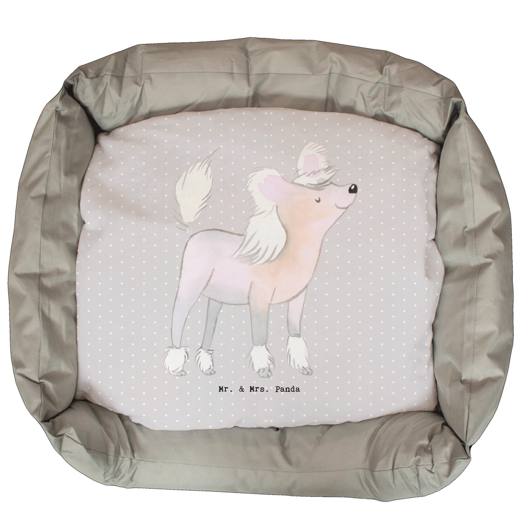 Dog bed Chinese Crested Dog Life Saver Dog, dog breed, purebred dog, dog owner, gift, animal lover, giving, puppy