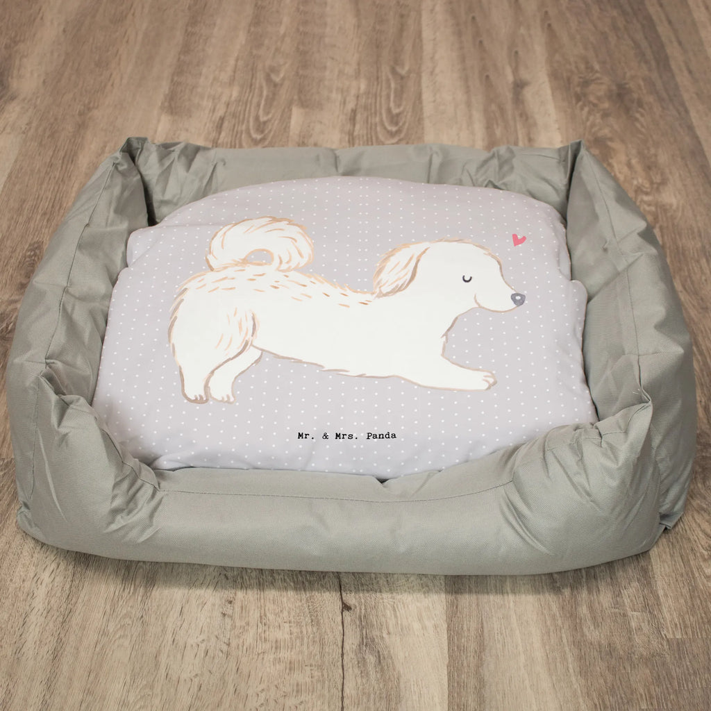 Dog bed Maltipoo Lifesaver Dog, dog breed, purebred dog, dog owner, gift, animal lover, giving, puppy