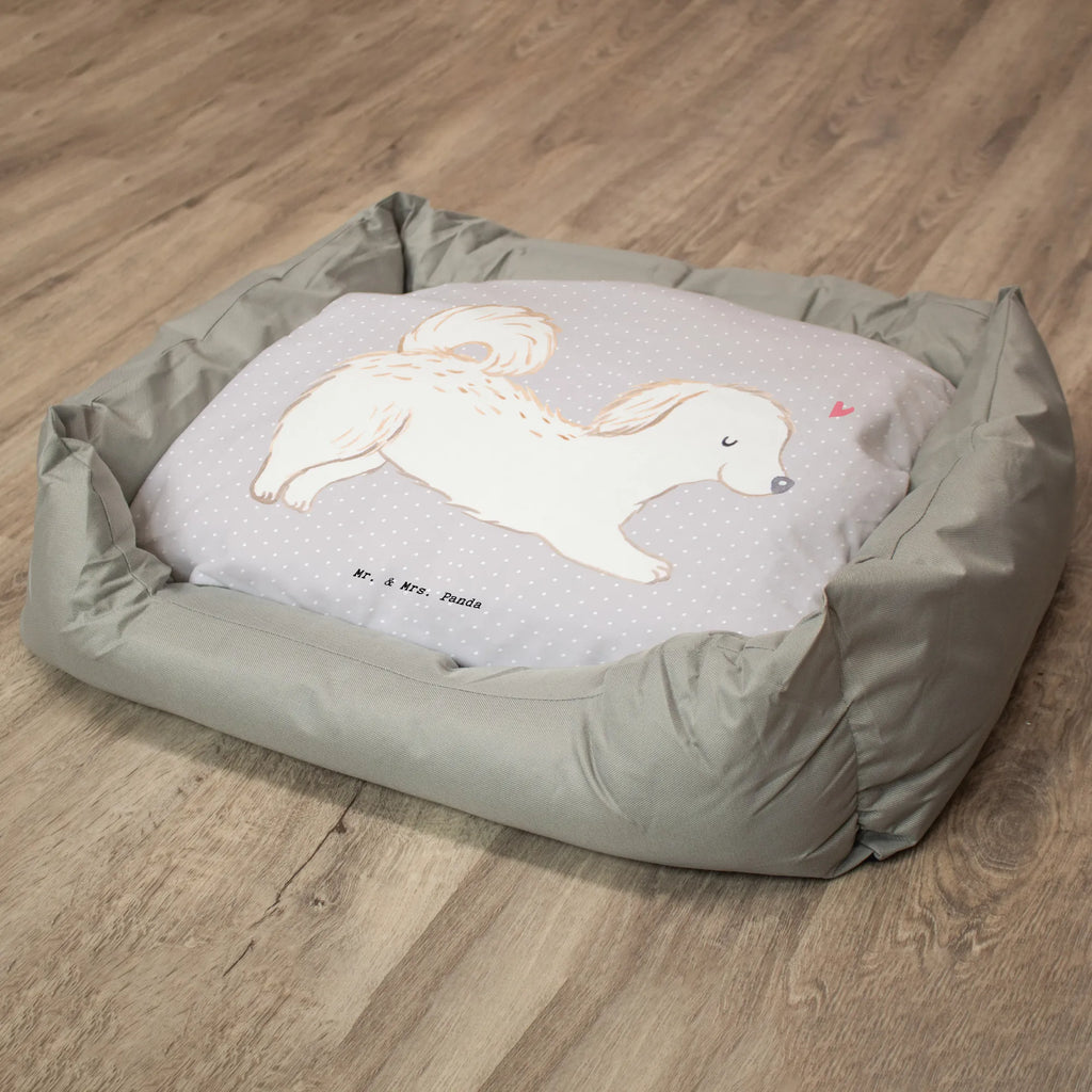 Dog bed Maltipoo Lifesaver Dog, dog breed, purebred dog, dog owner, gift, animal lover, giving, puppy