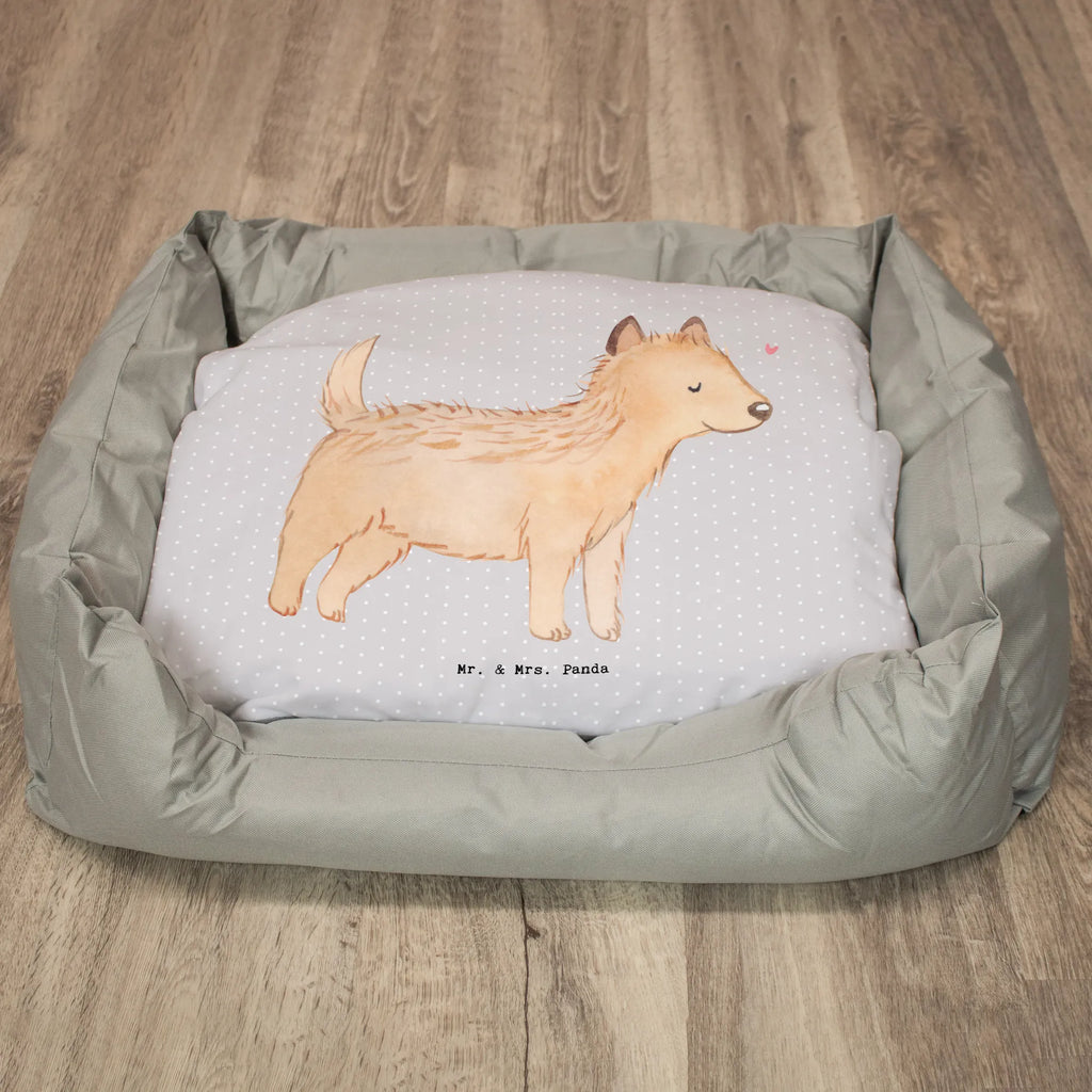 Legowisko dla psa Cairn Terrier ratownik Pies, rasa psa, pies rasowy, właściciel psa, prezent, miłośnik zwierząt, dawanie, szczeniak