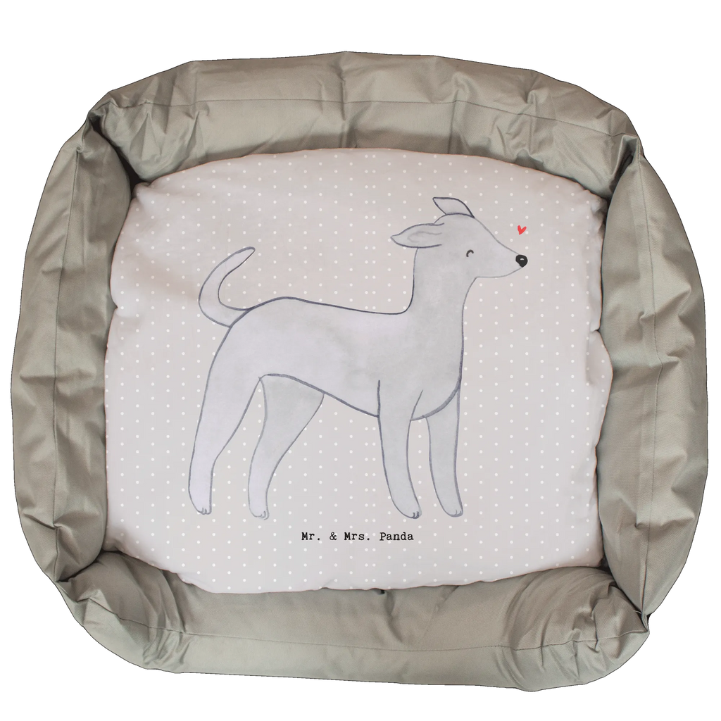 Dog bed Italian Greyhound Lifesaver Dog, dog breed, purebred dog, dog owner, gift, animal lover, giving, puppy
