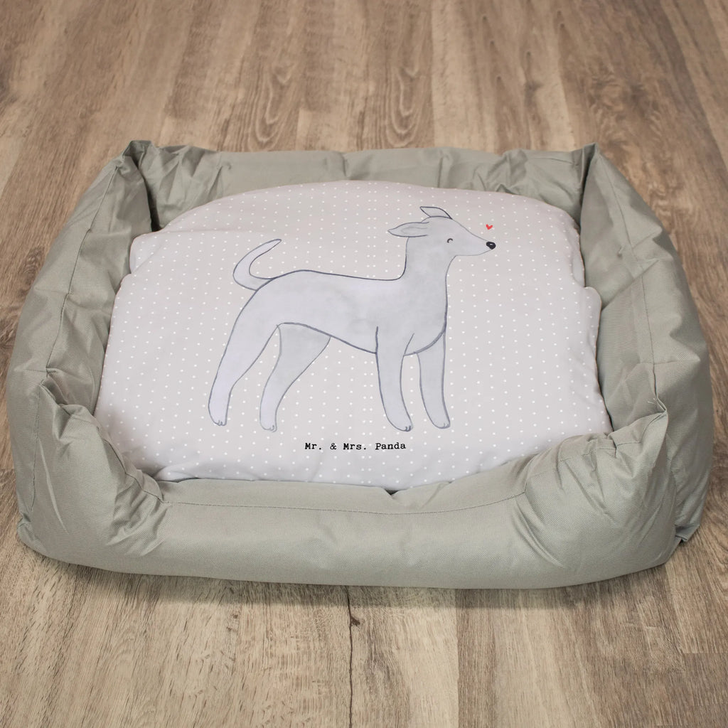 Dog bed Italian Greyhound Lifesaver Dog, dog breed, purebred dog, dog owner, gift, animal lover, giving, puppy