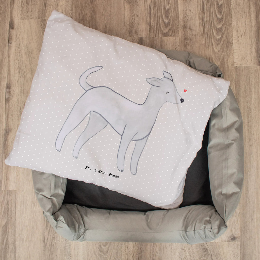 Dog bed Italian Greyhound Lifesaver Dog, dog breed, purebred dog, dog owner, gift, animal lover, giving, puppy