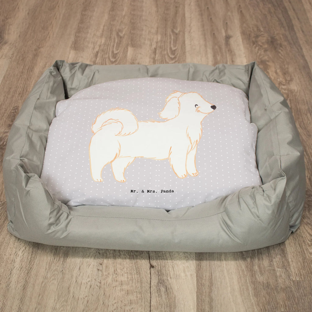 Dog bed Havanese Lifesaver Dog, dog breed, purebred dog, dog owner, gift, animal lover, giving, puppy