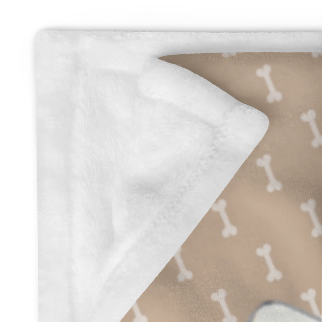 Koc Corgi tyłek Pies, motyw psa, zwierzę domowe, rasa psa, miłośnik zwierząt, właściciel psa, powiedzenia