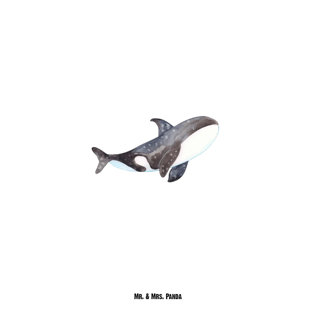 Drinks bottle Orca Seafood, aquatic animals, ocean, sea, fish, shells, corals, reef, whale, narwhal, sea urchin, lobster, platypus, turtle, manatee, crocodile, orca, shrimp, gifts for seafood lovers, water world, underwater animals, underwater world, vacation, deep sea, seafood fans, gift ideas, seafood decoration, seafood posters, office, new start, orcas, opportunities, killer whale, startup, motivation, self-love, work