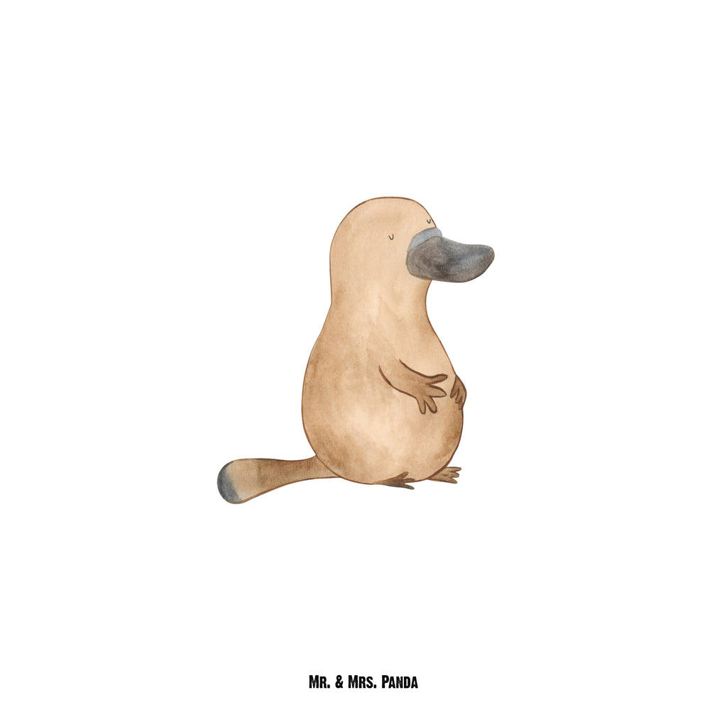 Butelka dziobak Odwaga Zwierzeta morskie, Morze, Wakacje