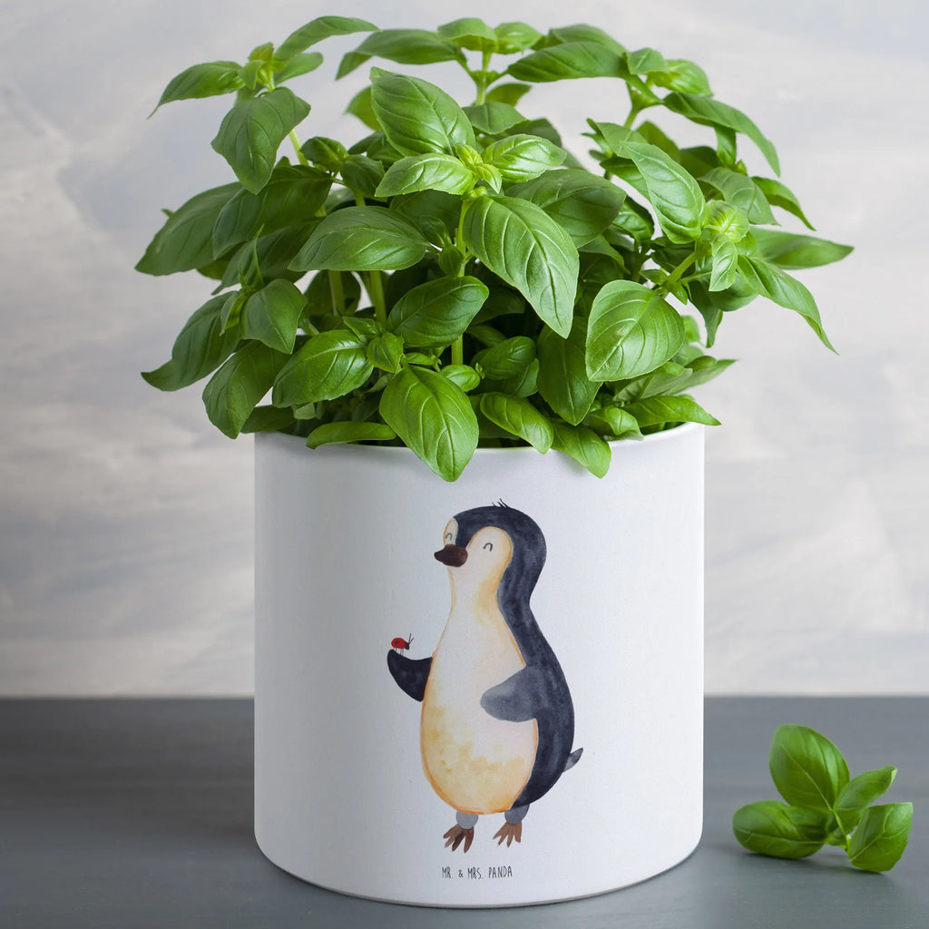 XL flower pot Penguin ladybug Penguin, North Pole, Winter, Penguins, love, joy of life, joy, wonder, happiness, ladybird, penguins