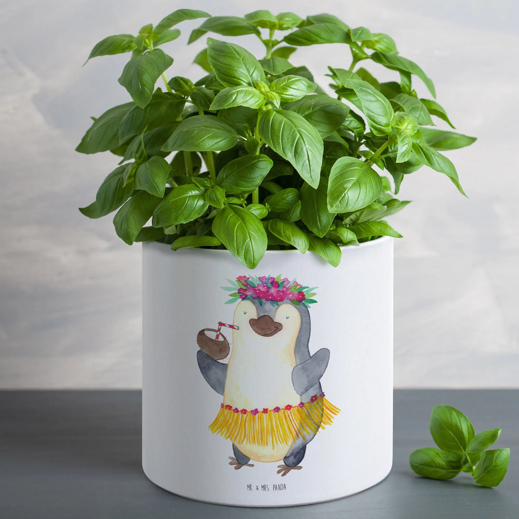 XL flower pot Penguin coconut Pflanzgefäß XL, Pflanzkübel Groß, Großer Blumentopf, Geschenk Frauen, Eckiger XL Blumentopf, Blumentopf Für Terrasse XL, Dekotopf Groß, Blumentopf Für Wohnzimmer XL, Blumentopf Aus Ton XXL, Blumentopf Für Große Pflanzen, Pflanztopf Groß, Übertopf XL, Robuster Blumentopf Groß, Großer Pflanzbehälter, Blumentopf Modern Groß, Wetterfester XL Blumentopf, Blumentopf Groß Innenbereich, Blumentopf Extra Groß, Großer Blumentopf Für Innen Und Außen, Tiefer Blumentopf, Runder XL Blumentopf, Blumentopf Aus Beton Groß, Blumentopf Design XL, Pflanztopf Garten Groß, Blumentopf Für Garten Groß, Blumentopf Klassisch Groß, Blumentopf Groß Aus Kunststoff, Pflanzkübel Für Palmen, XL Blumentopf, Blumentopf XXL, Blumentopf Aus Keramik XL, Blumentopf Groß Außenbereich, Blumentopf Für Balkon Groß, XL Übertopf Dekorativ, Blumentopf Rustikal Groß, Pflanzgefäß Terrasse Groß, Frostsicherer Großer Blumentopf, Hoher Blumentopf, Pinguin, Urlaub, Hawaii, Aloha, Pinguine, Kokosnuss
