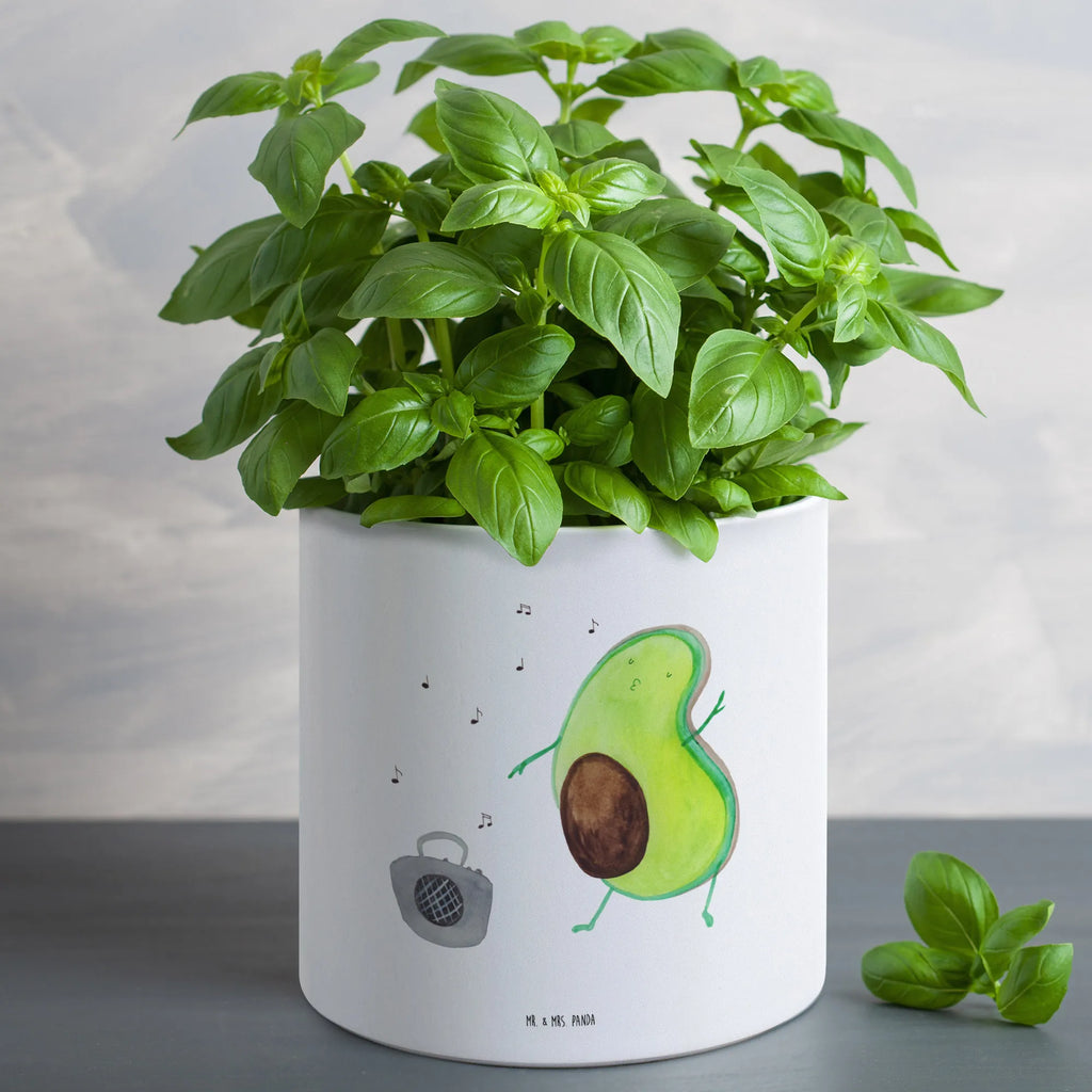 XL flower pot avocado Dance avocado, vegetables